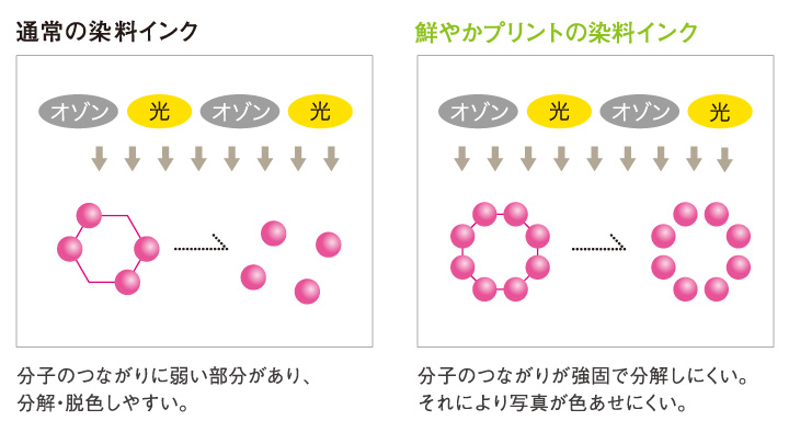 耐光性インクで、 色あせにくい美しさ。